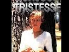 Bonjour Tristesse (1995 TV movie)